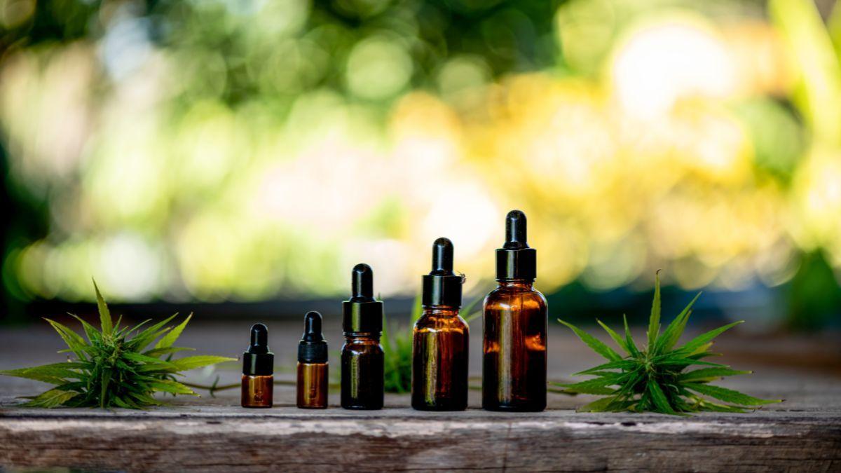 São Paulo na vanguarda da saúde