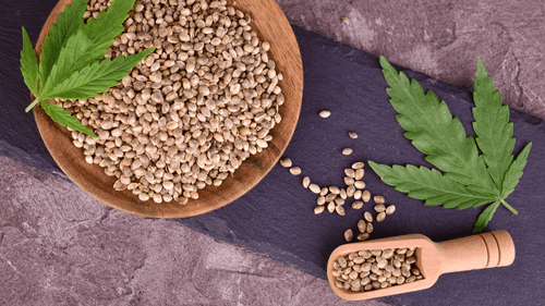 Imagem da noticia: RS establishes Parliamentary Front for the Sustainability of Industrial Hemp