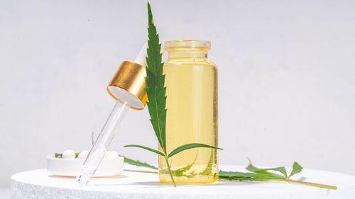 Imagem da noticia: Cannabis não é “droga”: ciência e medicina desmontam o estigma