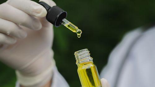 SAB - Justiça da Itália suspende decreto que restringia venda de CBD e classifica substância como medicamento