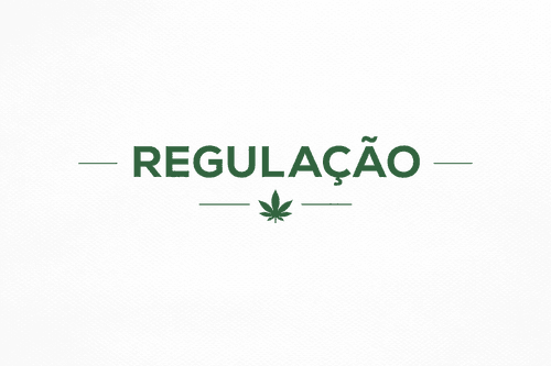 Imagem da noticia: Sandbox da cannabis expõe divergências sobre regulação e acesso no Brasil