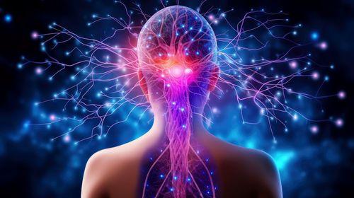 Imagem da noticia: The Role of the Endocannabinoid System in Retrograde Feedback