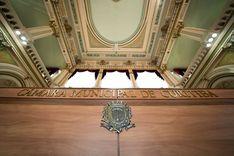 Câmara de Curitiba analisa campanha de conscientização sobre cannabis medicinal