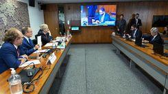 Senado pode votar em fevereiro projeto que regulamenta o uso medicinal da cannabis