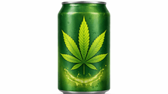 Pesquisa analisa potencial das bebidas com cannabis como alternativa ao álcool