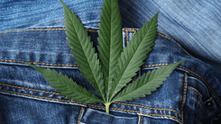 Cannabis, cuidado integral e moda sustentável pautam episódio do Deusa Cast