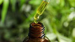 Anvisa proíbe produtos de cannabis; empresas envolvidas alegam informações desatualizadas