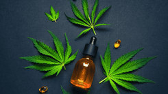 Cannabis medicinal desponta como alternativa segura ao zolpidem em meio a alerta nacional