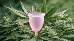 Cannabis medicinal se consolida como aliada no alívio da cólica menstrual