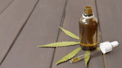 Uso de cannabis medicinal por pacientes terminais em hospitais avança em debate nos EUA