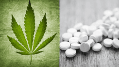 Como o uso medicinal da cannabis pode ajudar a reduzir dependência de opioides?