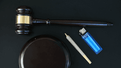 Cannabis Law: Beyond Habeas Corpus for Cultivation