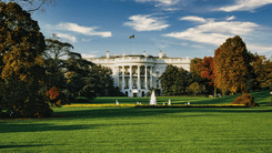 Trump afirma considerar mudança no status federal da cannabis nos Estados Unidos