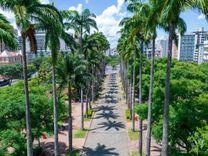 Minas Gerais discusses the distribution of cannabis-based products for medicinal use by the SUS