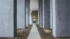 Mercado de hempcrete nos EUA deve atingir US$ 10,6 bilhões até 2033