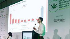 Canabidiol cresce mais de 70% no canal farmácia; revisão da RDC 327 da Anvisa gera otimismo no setor