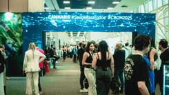Mercado de cannabis medicinal no Brasil ganha força com novos produtos e conexões profissionais