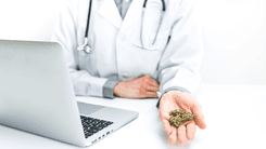 Czech Republic to authorize general practitioners to prescribe medical cannabis