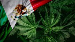 Pesquisa aponta aumento do uso de drogas em adultos e queda entre adolescentes no México