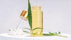 Anvisa aprova novo produto à base de cannabis no Brasil