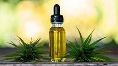 Óleo Full Spectrum como aliado no tratamento da dor crônica