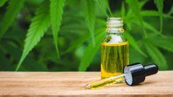 Anvisa proíbe produtos de cannabis de duas empresas por venda irregular; responsáveis afirmam atuar dentro das regras