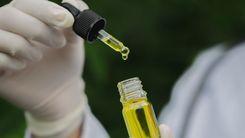 Justiça da Itália suspende decreto que restringia venda de CBD e classifica substância como medicamento