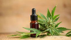 Anvisa aprova novo produto à base de cannabis no Brasil