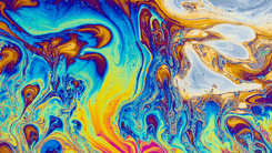 Harvard debate legalização de psicodélicos com foco em regulação e evidências científicas