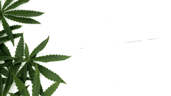 Governo do Distrito Federal abre licitação para atender pacientes com epilepsia grave