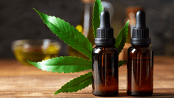 Sistema endocanabinoide: a chave para uma medicina mais humana