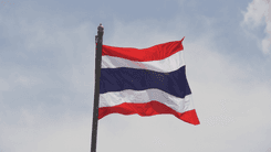 Após rápida expansão, governo tailandês restringe a comercialização de cannabis a canais com supervisão médica e sanitária