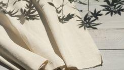 Cânhamo supera resistência do algodão em até 55% em testes realizados no Brasil