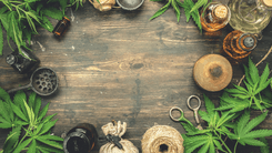 Terapias integrativas com ervas tradicionais e óleo de cannabis são analisadas em estudo sobre insônia crônica