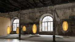 Biennale Architecture 2025: Hemp as a sustainable and innovative material in architecture