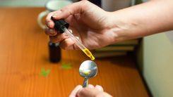 SINSSP-BR integra tratamento com cannabis medicinal para servidores