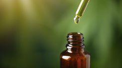 Anvisa aprova dois produtos à base de cannabis para farmácias