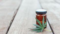 Proposta de restrição na importação de Cannabis (RDC 660) gera reação no mercado