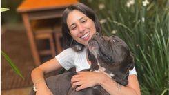 Como usar cannabis no seu pet: 5 dicas essenciais antes de iniciar o tratamento