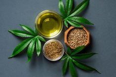 “Hemp seeds have more protein than eggs,” says pharmacist