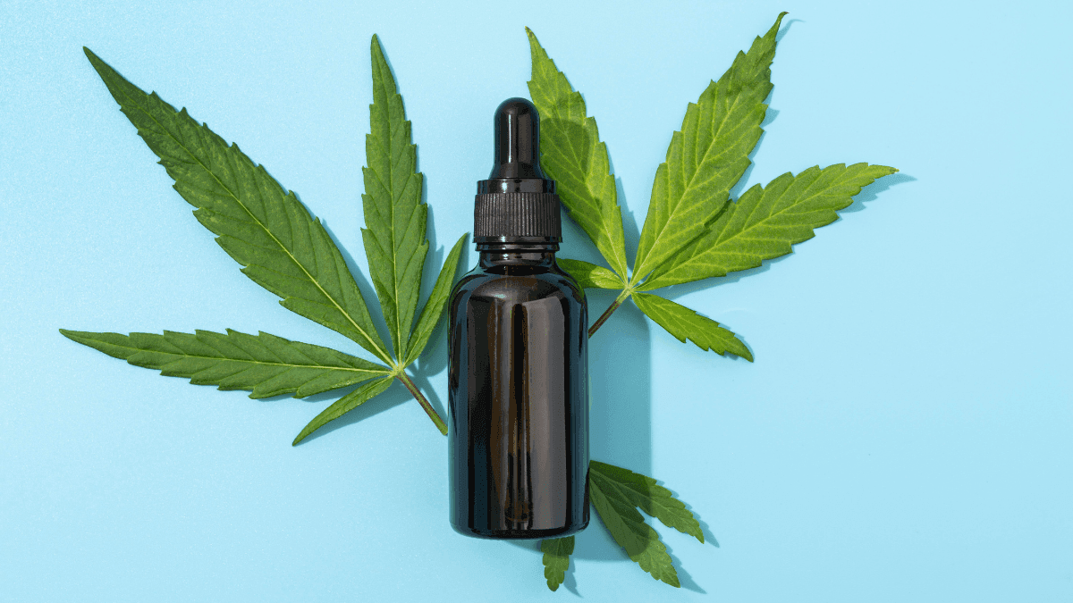 Empresa líder global de cannabis medicinal lança produto de cannabis medicinal cultivado na Alemanha