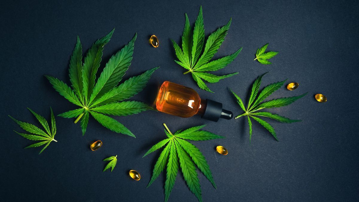 Terceiro setor lidera número de propostas enviadas em edital da Frente Parlamentar de Cannabis da Alesp