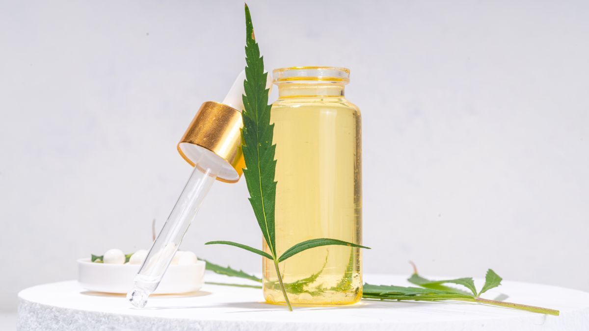 Cannabis não é “droga”: ciência e medicina desmontam o estigma