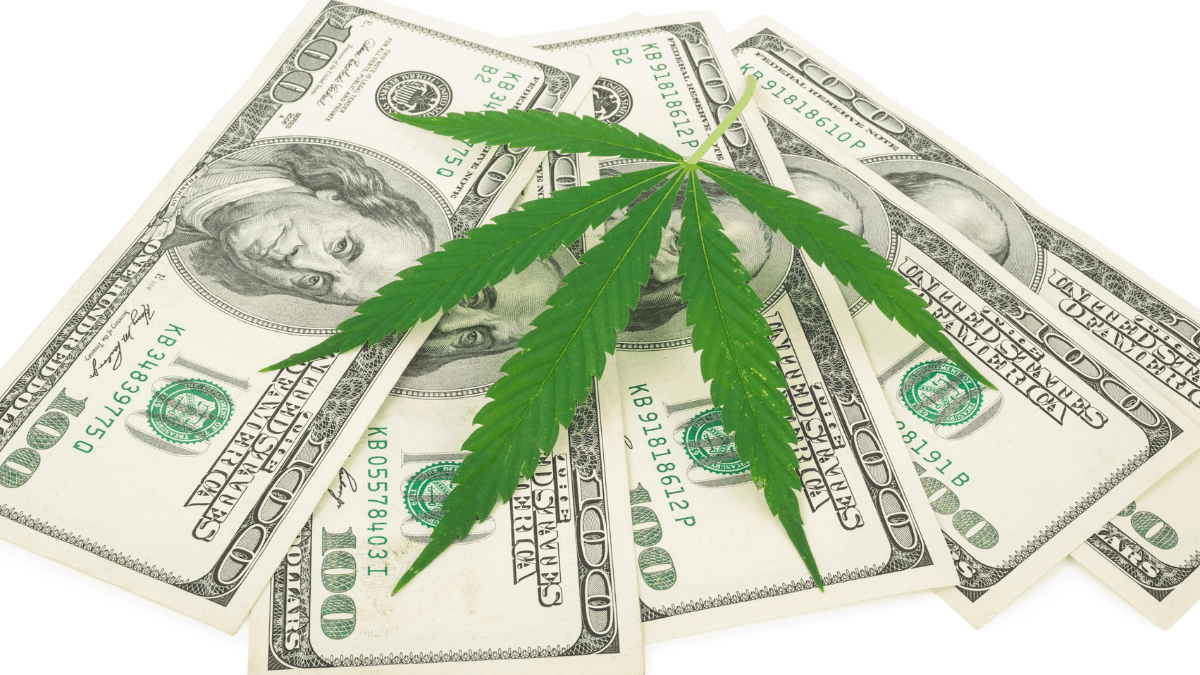 Mudança no status da cannabis nos EUA abre novas oportunidades para negócios