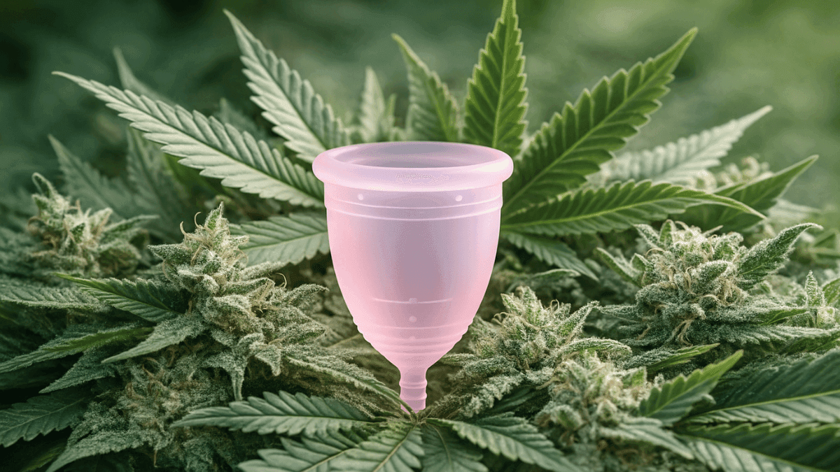Cannabis medicinal se consolida como aliada no alívio da cólica menstrual