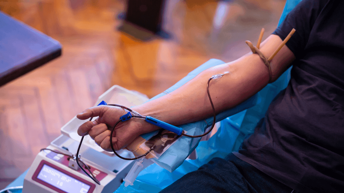 Posso doar sangue usando cannabis medicinal?