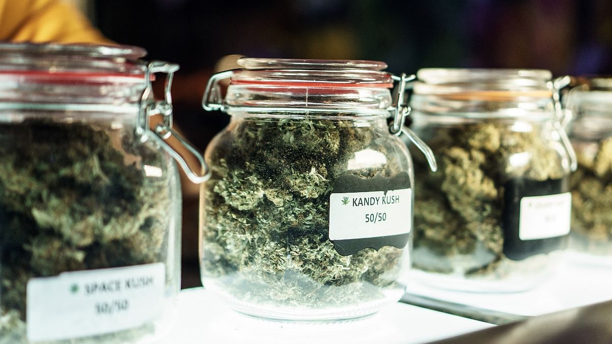 Mercado de cannabis: O contraste entre o 'boom' de NY e as headshops no Brasil