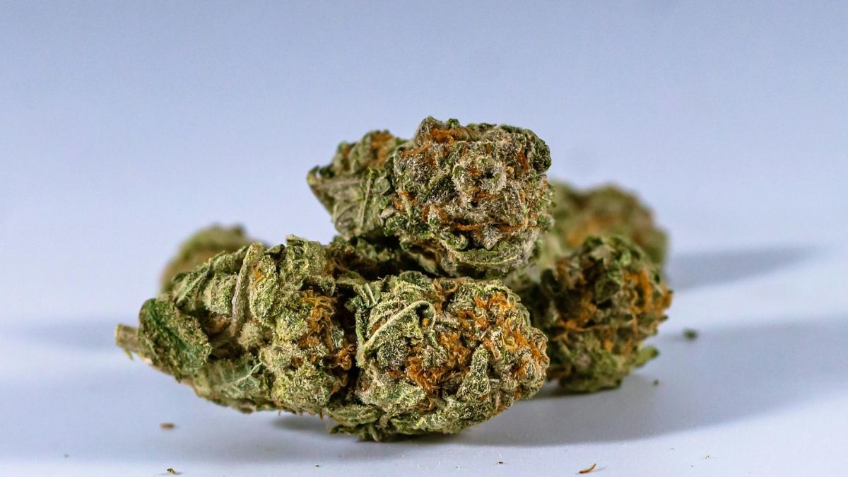 Canopy Growth estende dívidas até 2031 e projeta caixa de C$ 425 milhões