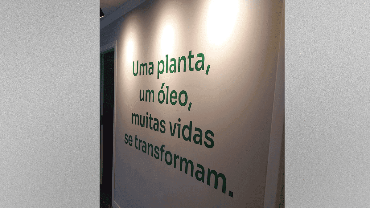 Florianópolis dá um passo adiante: nasce o primeiro cultivo orgânico de cannabis medicinal da cidade