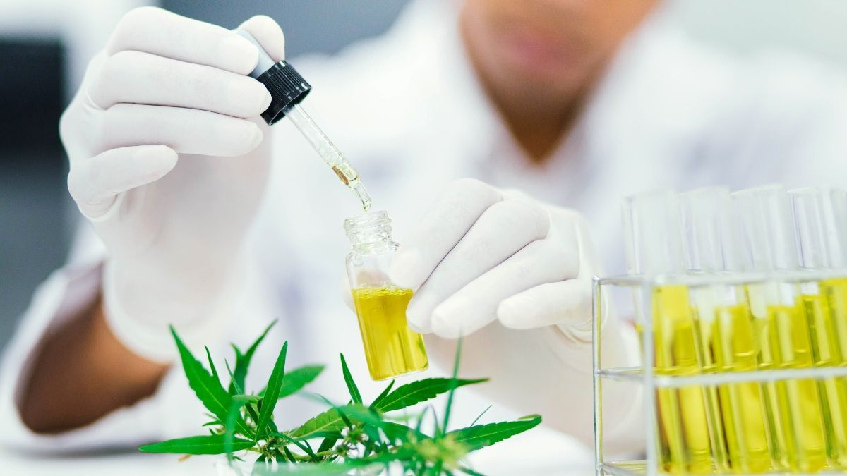 Universidade de Santa Catarina prepara ensaios clínicos com cannabis para TDAH, depressão e cicatrização